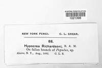 Image Associated With the Occurence